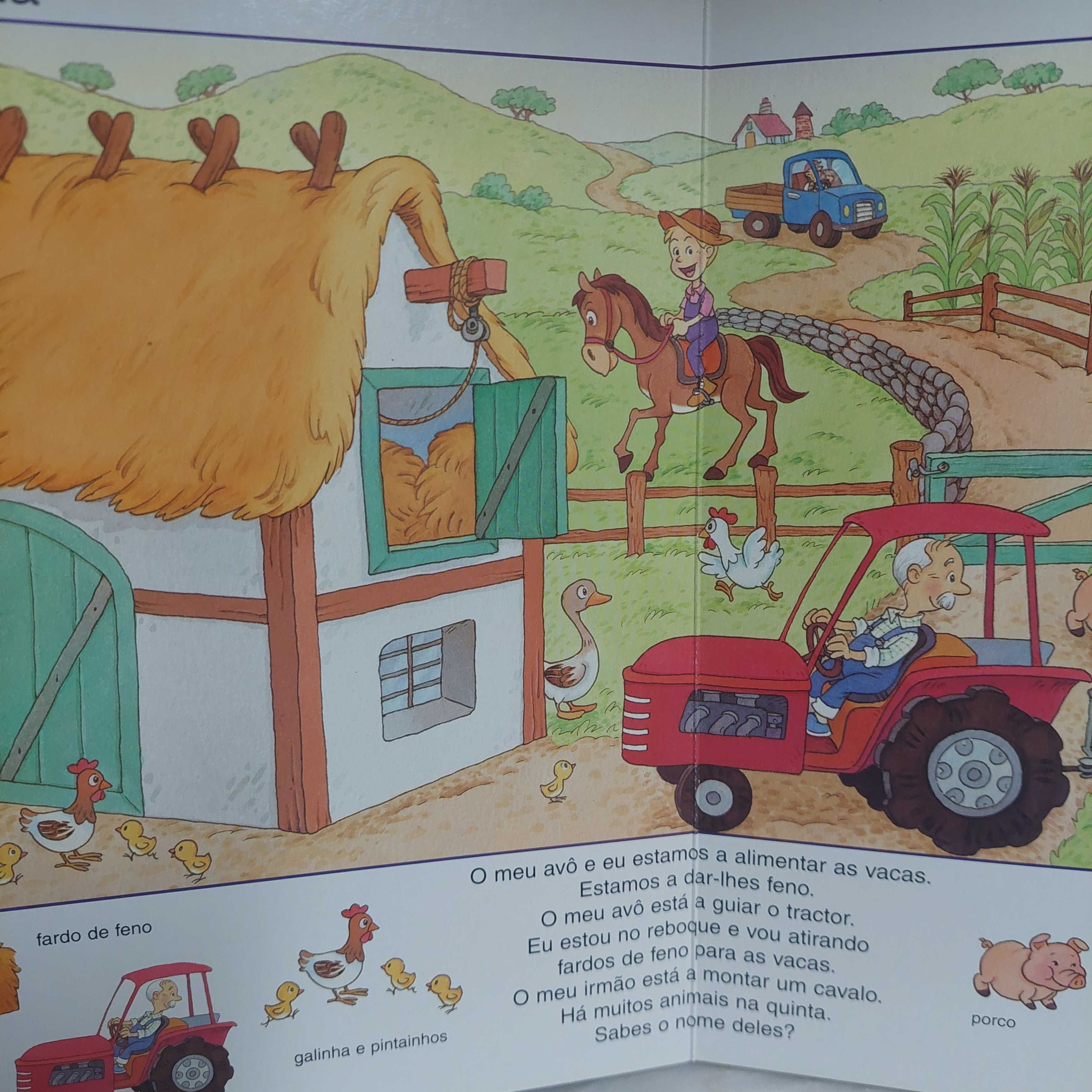 Minidicionário ilustrado