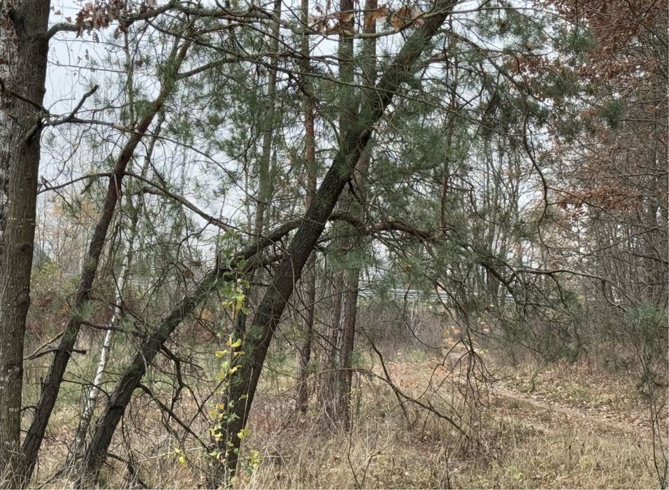 Продам фасадну земельну ділянку 3,3 Га!