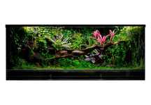 Terrarium tropikalne 40x40x60 gekon