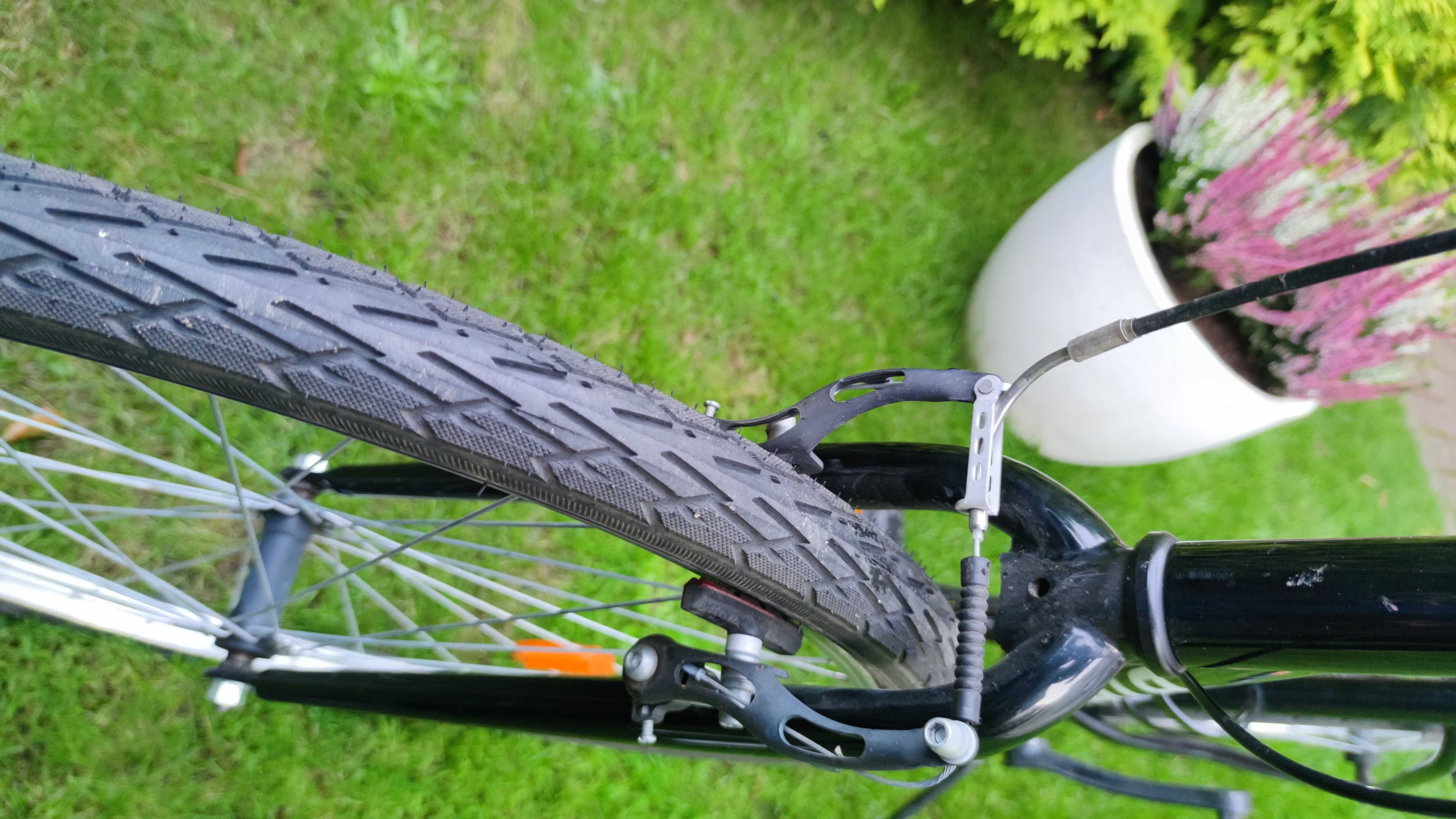 rower riverside 100
