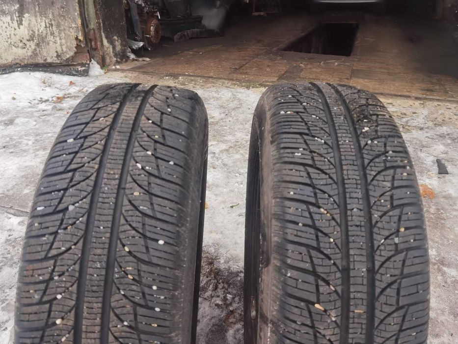 Різіна. Шини. Колеса. 195.65 Р15.зима.пара комплект.