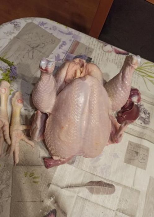 Brojler tuszka 20 zł albo  całe 40