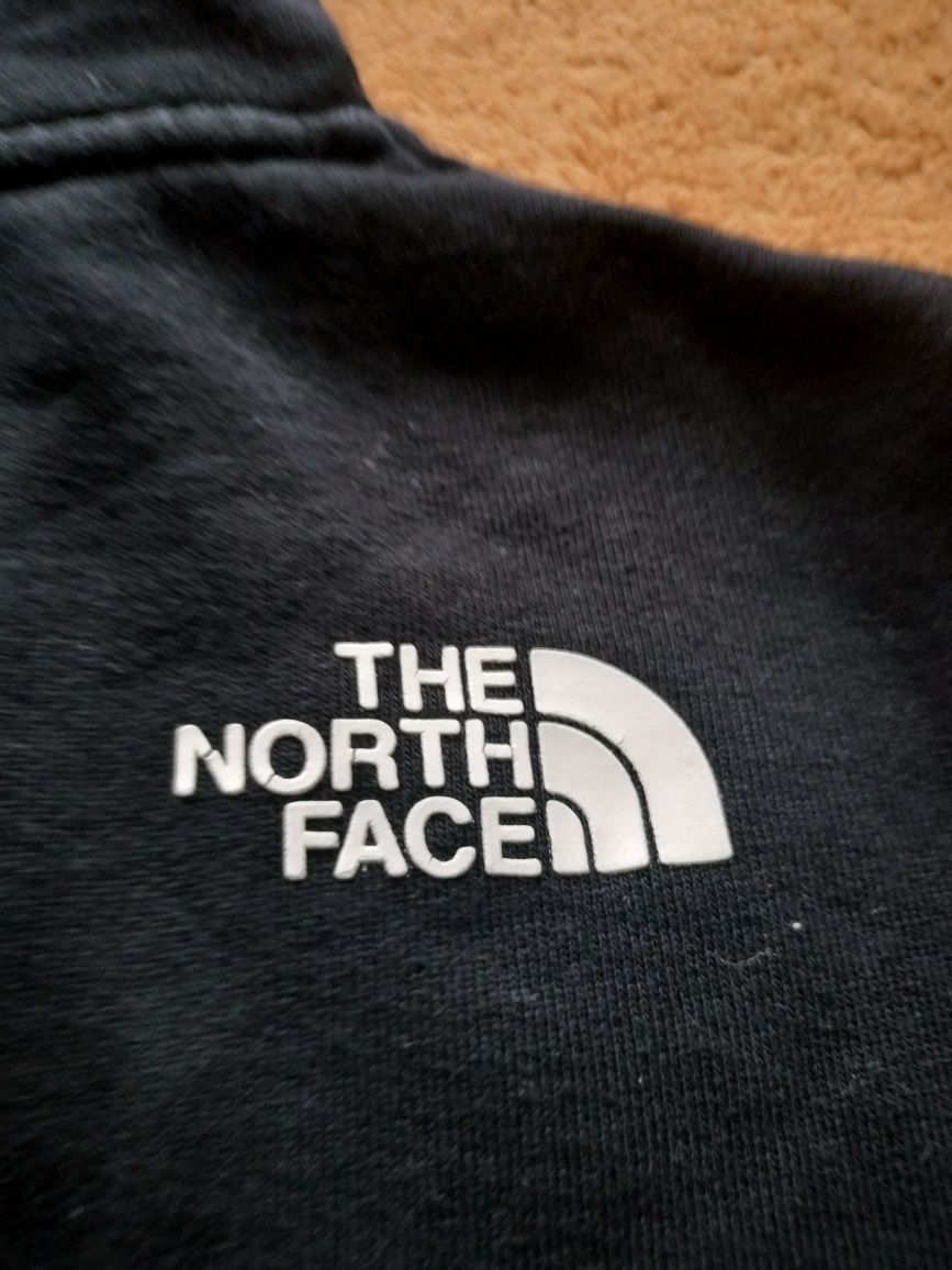 Bluza męska sportowa The North Face
