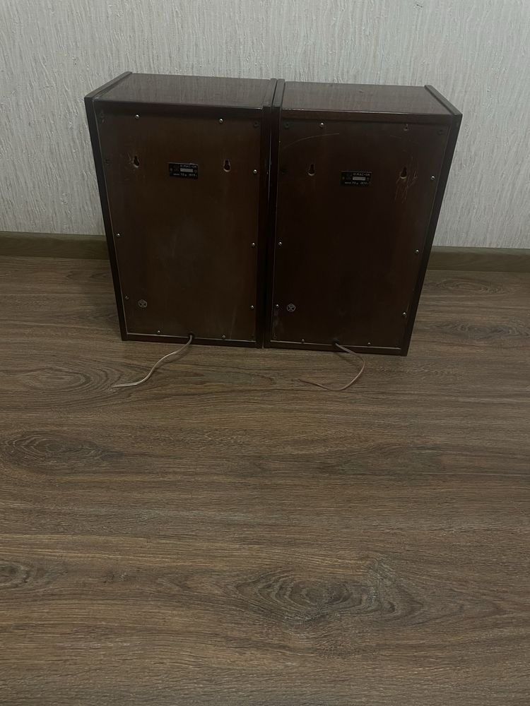 Колонки 10МАС-1М