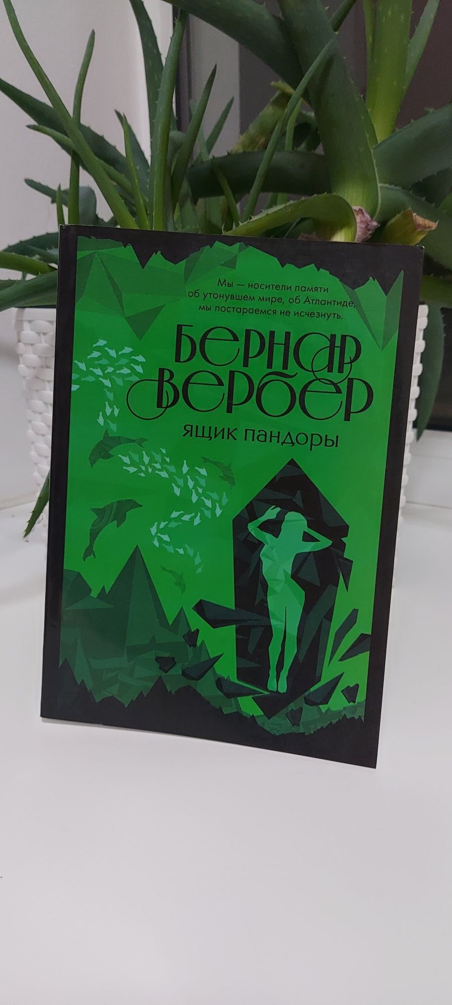 Б. Вербер "Ящик пандори"