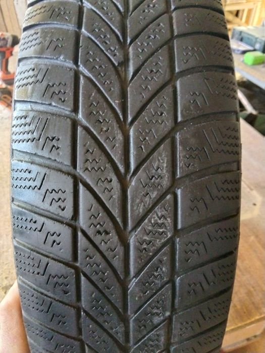 Шина колесо покришка скат Нідерланди