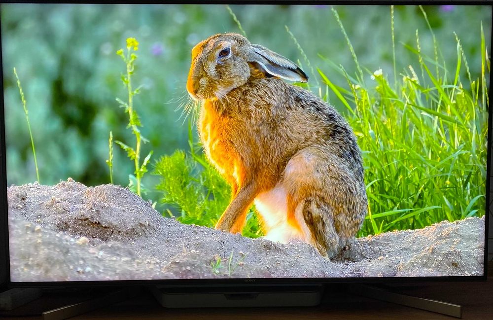 Sony Bravia 4K 120Hz Android TV