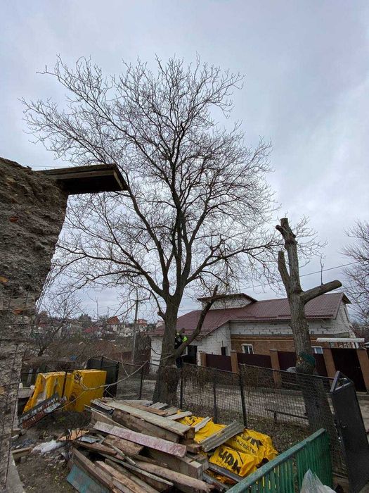 Обрезка деревьев Спил деревьв Обрезка сада Спил с вышки Вывоз Дробилка