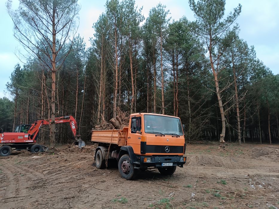 Czyszczenie działek wycinka drzew  wywóz gruzu wyburzenia