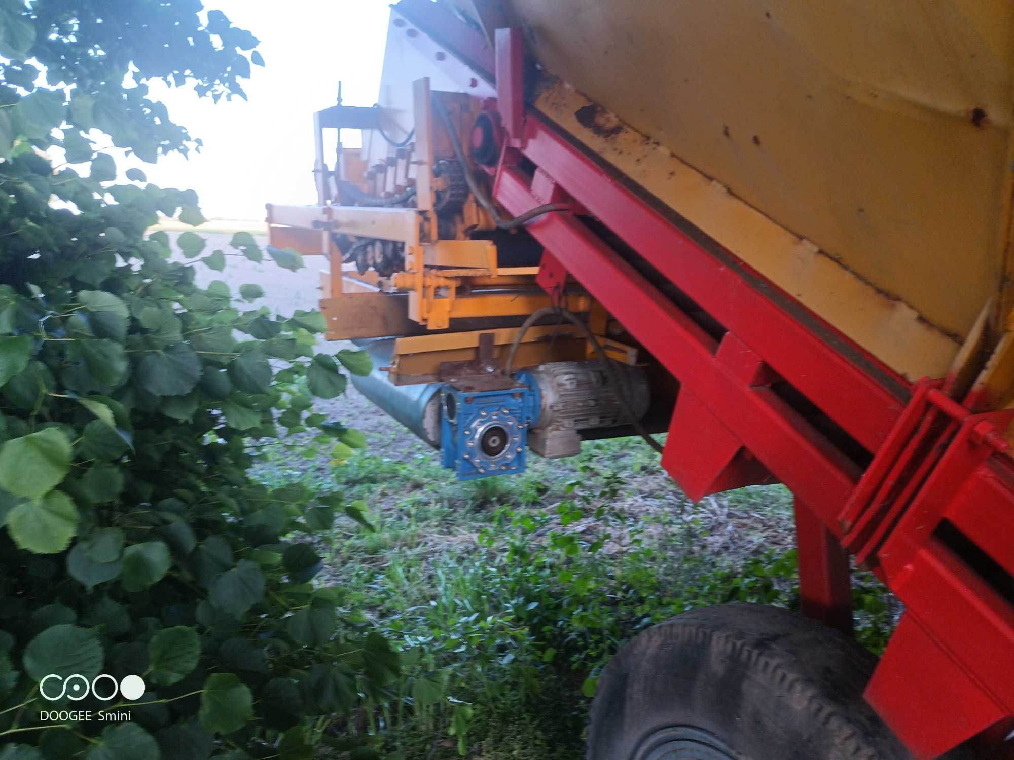 bunkier kosz przyjęciowy rozładunkowy do warzyw climax miedema amac c
