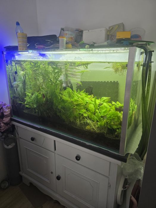 Akwarium 420l 12opti