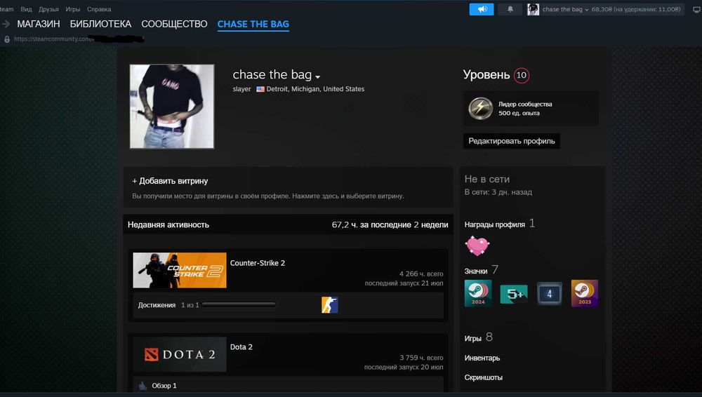 Личный Steam аккаунт 10 lvl faceit 2500 elo