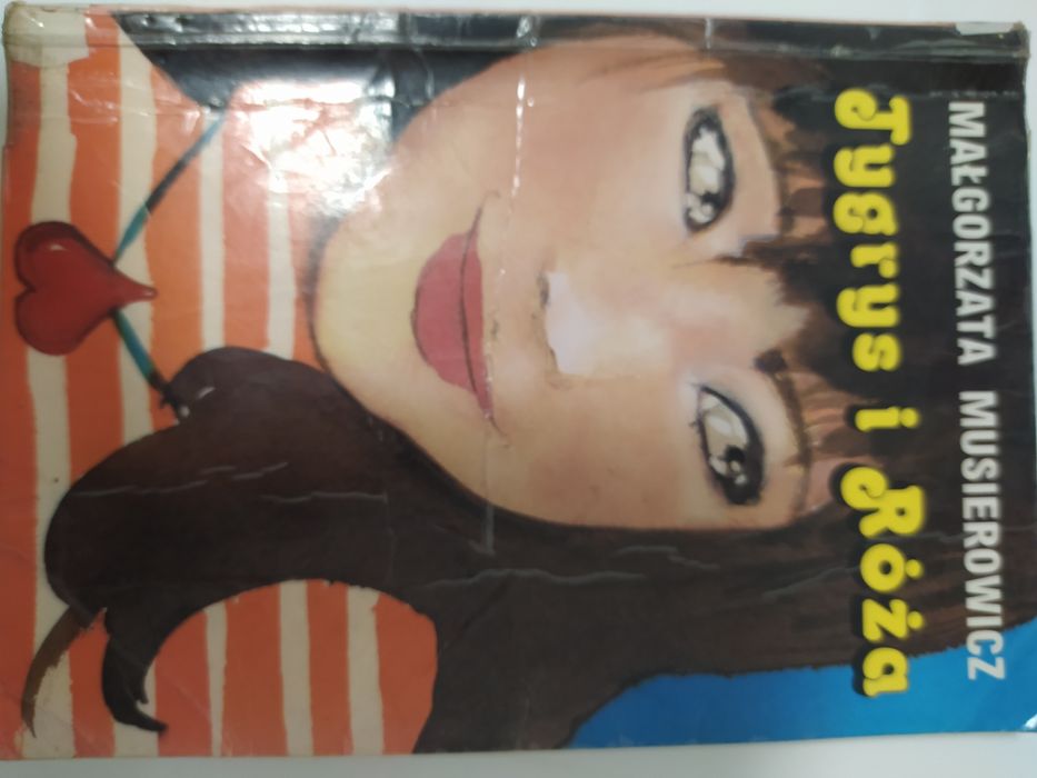 Tygrys i róża Musierowicz