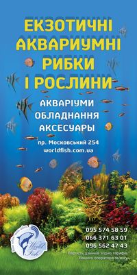 Зоомагазин аквариумистики 70 видов рыбок, все для аквариума