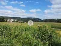 Terreno para Construção em Zona Panorâmica