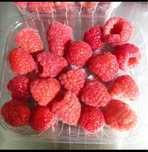 Framboesa fruta fresca