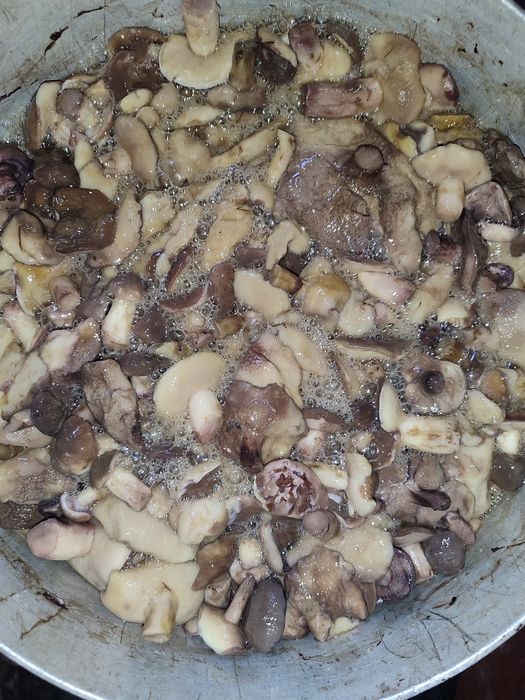 Грибы маслята,  польскийвареные соленые 100 гр гр за кг