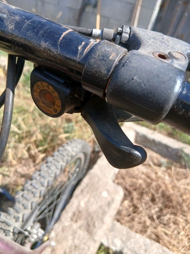 Bicicleta de adulto