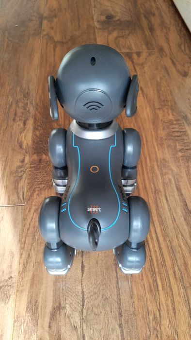 Robot pies zdalnie sterowany