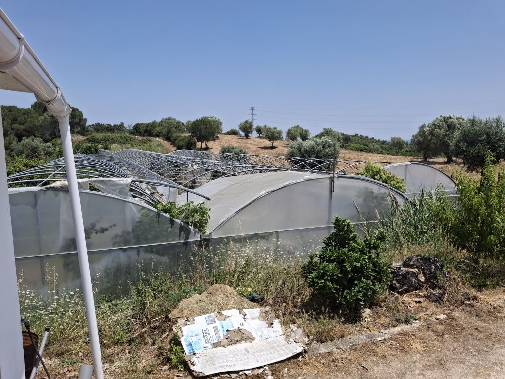 Vendo estrutura de estufas 3 túneis 8x70M