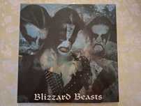 WINYL Immortal - Blizzard Beasts (silver galaxy, Osmose)