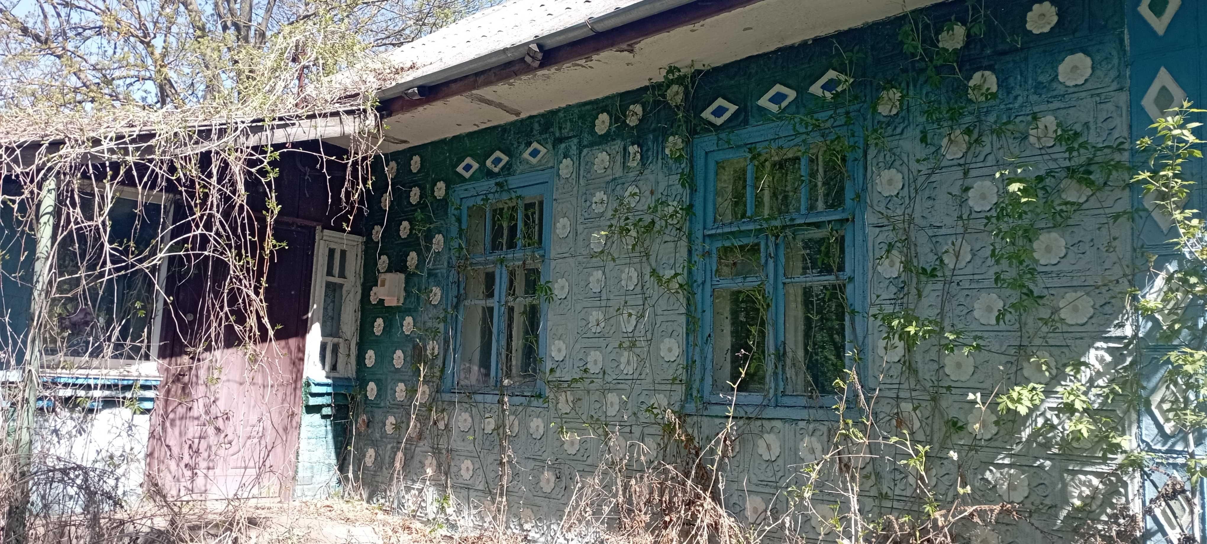 Продам будинок із земельною ділянкою Липовецький р-н, від Власника
