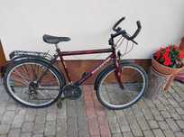 Rower Forest 26"