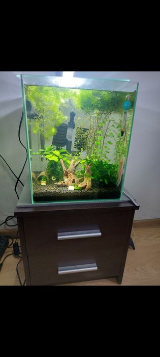Zestaw Akwarium z szafka filtrem i ledami 30x30x35