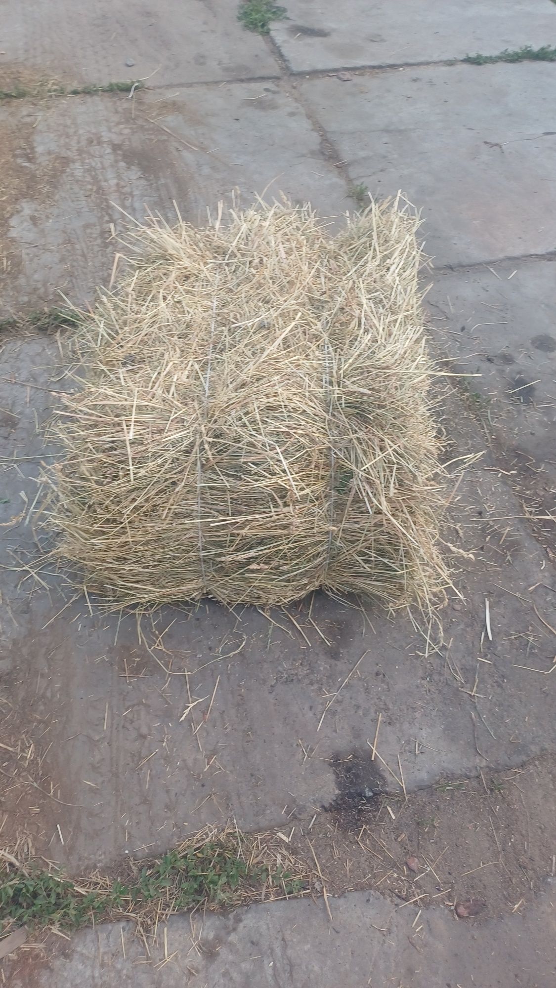 Лугове сіно продам недорого