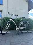 rower holenderski - PUCH