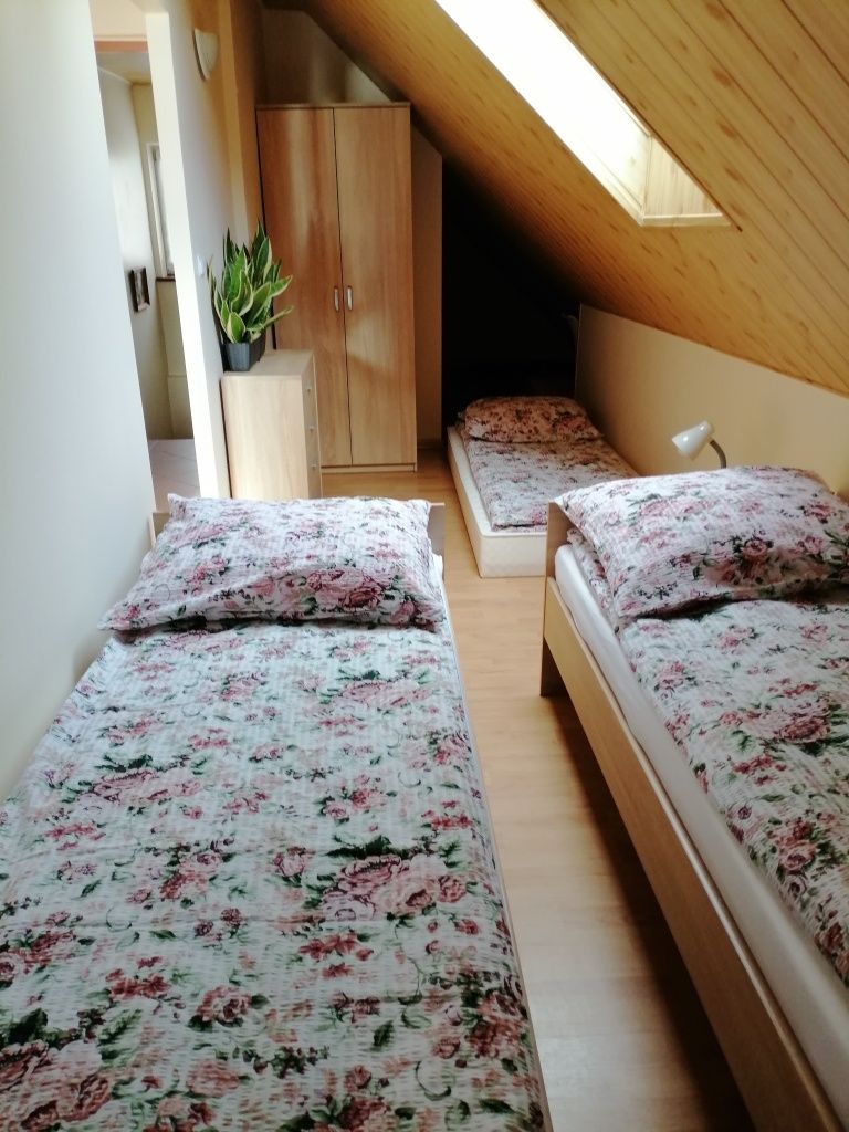 Apartament,tanie pokoje noclegi kwatery góry Szczawnica, Kr