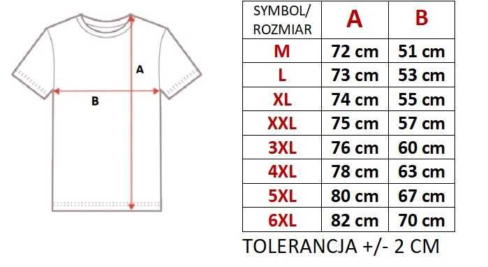 Koszulka męska mix kolor rozmiary od M do 3XL