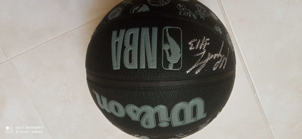 Piłka NBA Wilson