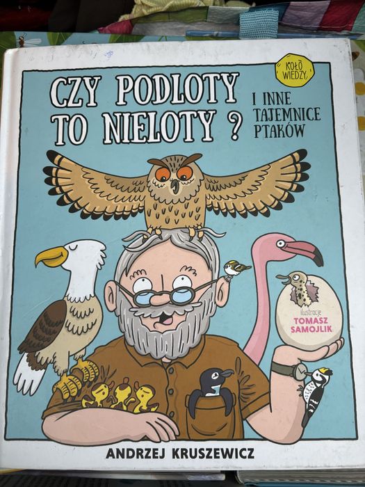 Czy podloty to nieloty? i inne tajemnice ptaków