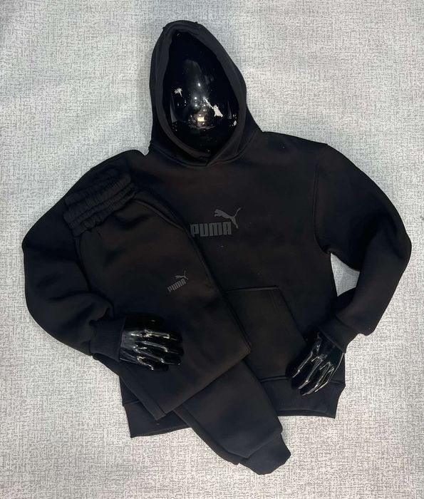 Костюм мужской на флисе с худи Nike,Puma
