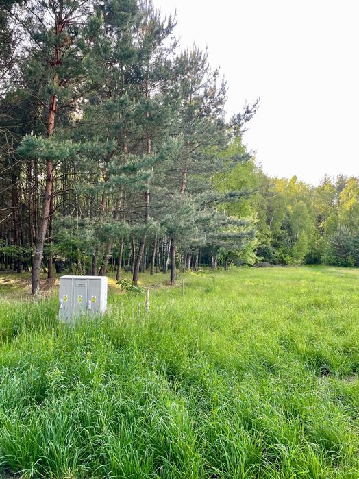 Tomawa - działki leśne z warunkami zabudowy, powierzchnia ok 2000m2.