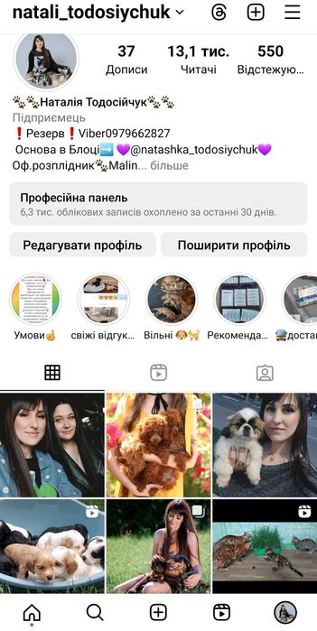 Бенгалята з розплідника. WCF системи