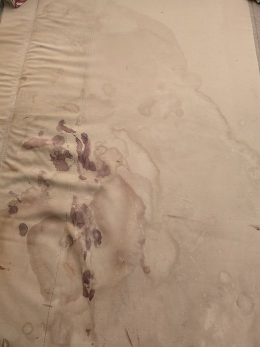 Хімчистка дивана