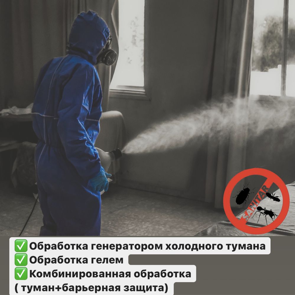 Служба по борьбе с насекомыми Днепр. Тараканы, клопы, блохи, крысы.