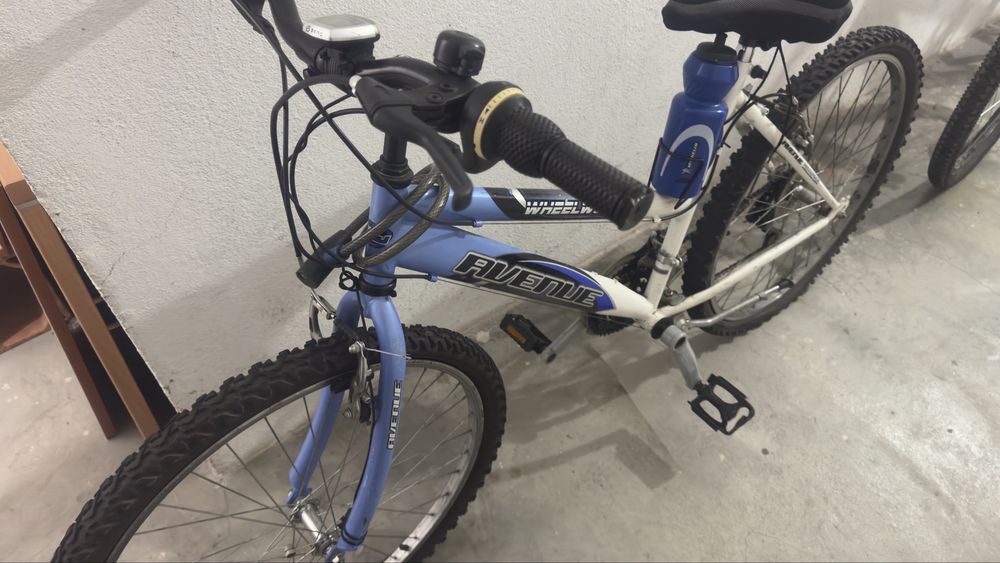 Bicicleta Avenue