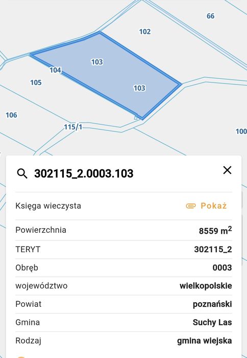 Sprzedam łąkę w Goleczewie