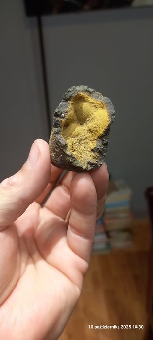 Minerały skamieniałości konkrecja limonitowa