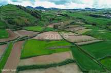 Terreno agrícola - Fenais da Ajuda