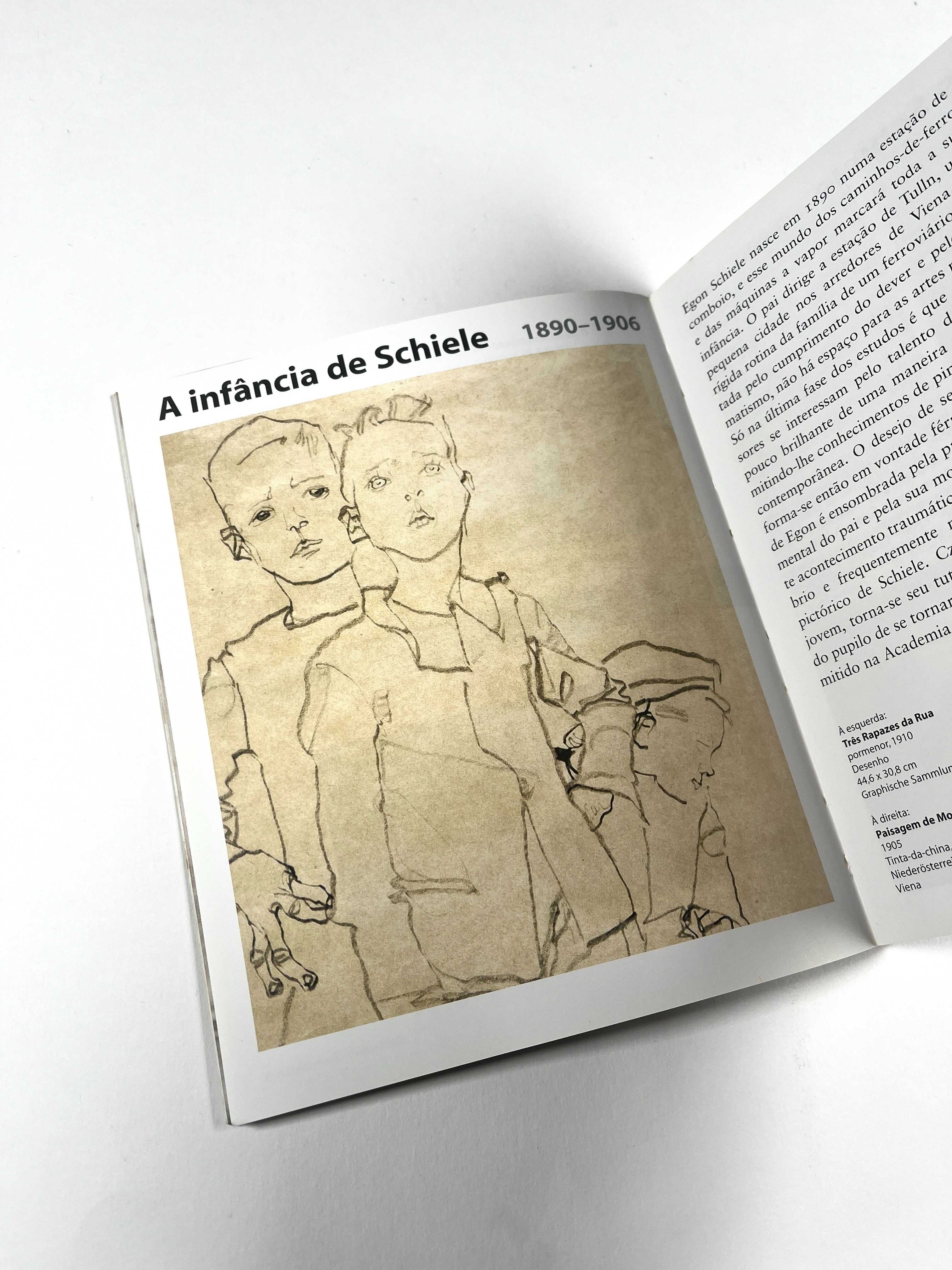 Egon Schiele Vida e Obra Miniguia de arte Könemann 2001 Livro