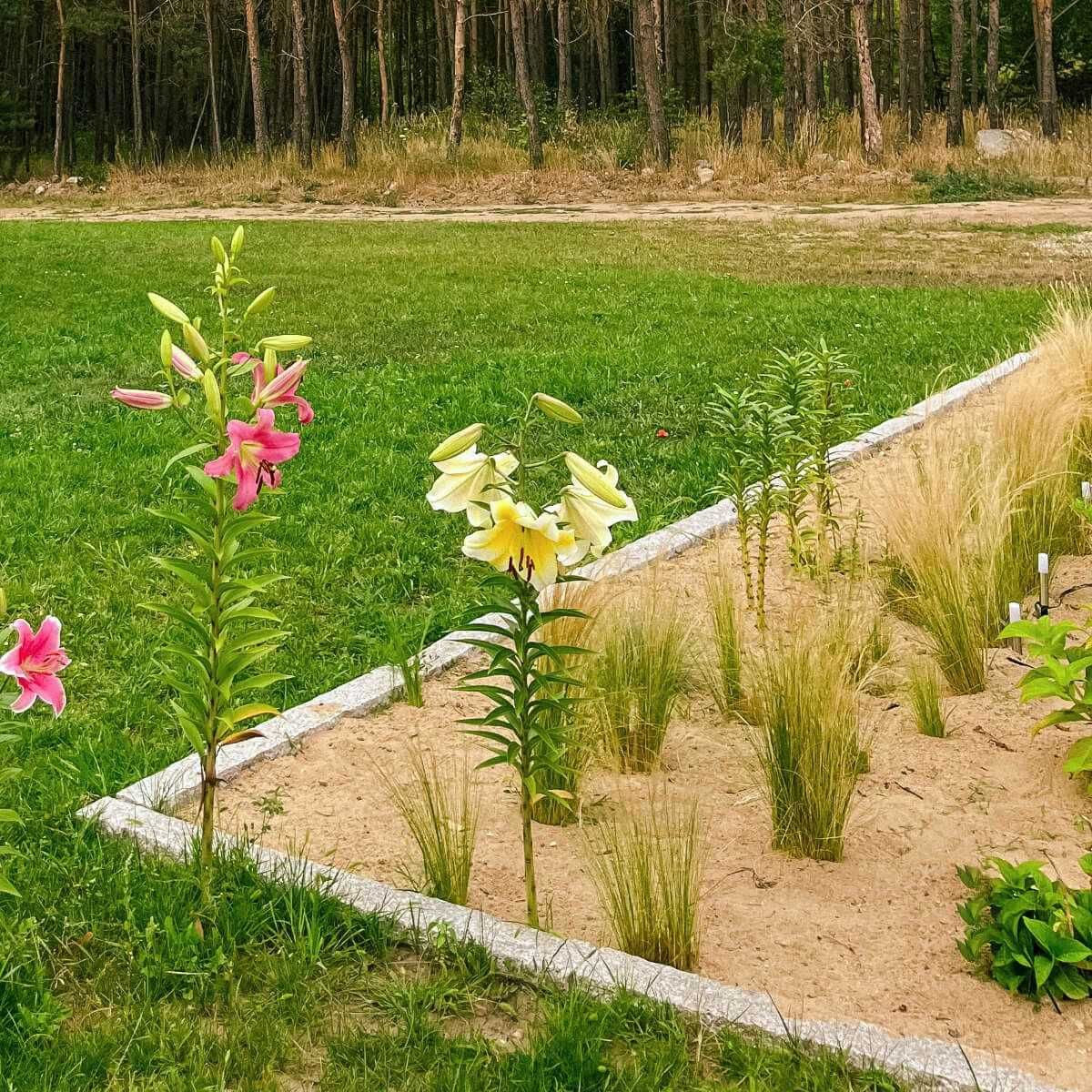 Palisada Granitowa Kamień Naturalny