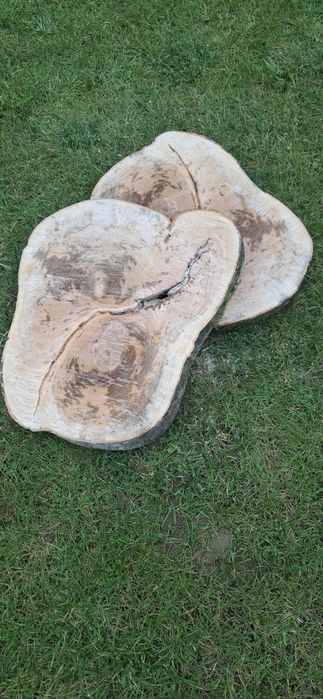 Plastry drewna bukowego