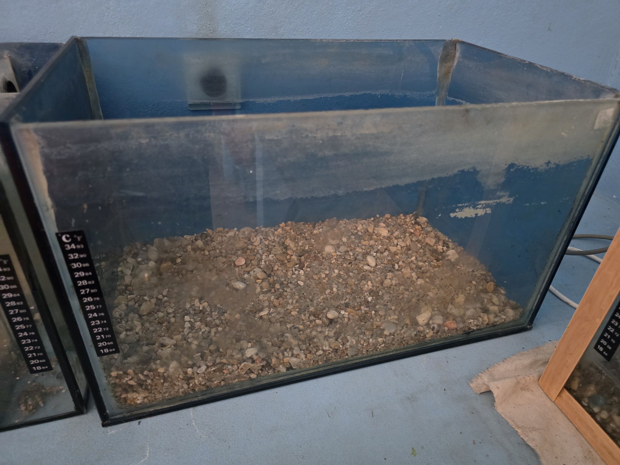 Três Aquários com 50L
