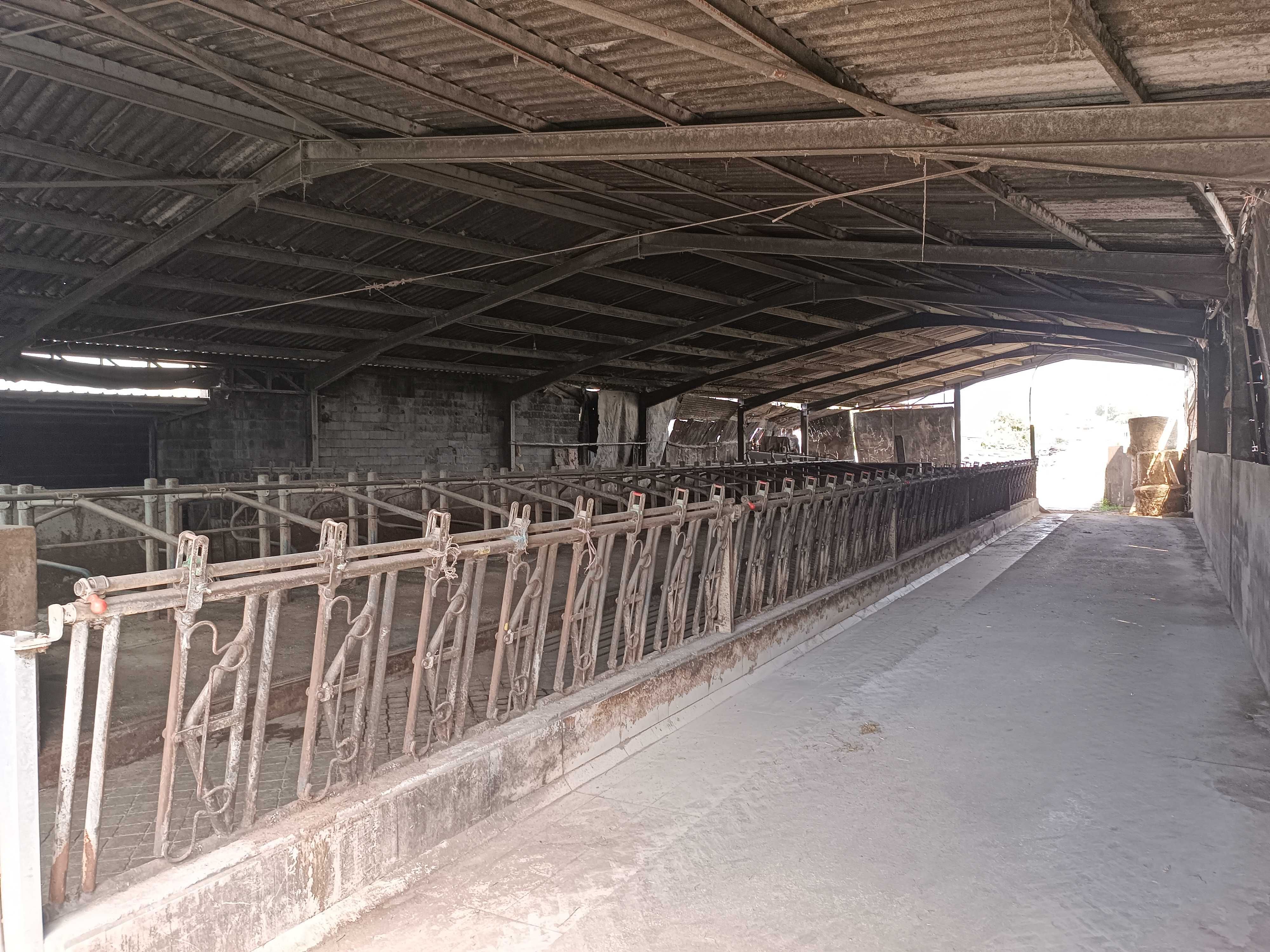 Venda de Equipamentos de Estábulo e Sala de Ordenha