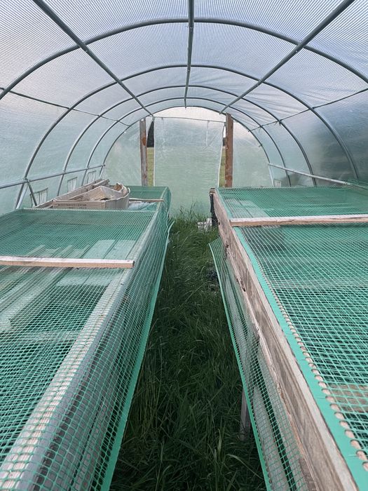 Sprzęt paśniki skrzynki stoły do hodowli ślimaków