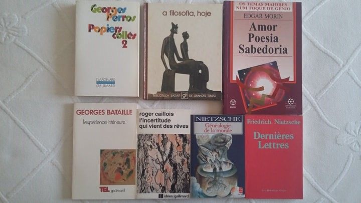Filosofia: Lyotard/ Foucault/ Morin/ Nietzsche/ Heidegger/ L. Wolfson
